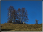 foto Da Possagno a Cima Grappa